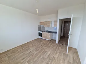 Pronájem bytu 1+1, Chomutov, Dřínovská, 37 m2