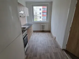 Pronájem bytu 4+1, Ústí nad Labem, Dr. Horákové, 88 m2
