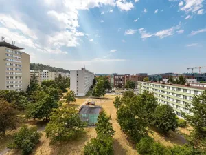Prodej bytu 2+kk, Praha - Karlín, Nekvasilova, 42 m2