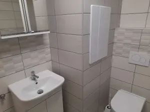 Pronájem bytu 1+1, Frýdek-Místek, K Hájku, 46 m2