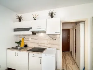 Prodej bytu 1+kk, Praha, Štúrova, 20 m2