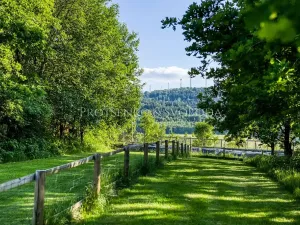 Prodej chalupy, Heřmanice, 172 m2