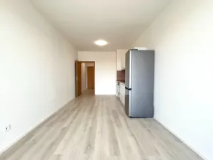 Pronájem bytu 1+kk, Brno, Dornych, 30 m2