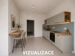 Prodej bytu 1+kk, Brno, Cejl, 60 m2