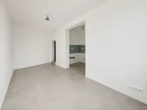 Prodej bytu 1+kk, Brno, Cejl, 60 m2