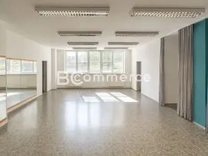 Pronájem kanceláře, Brno, 90 m2
