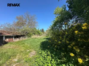 Prodej rodinného domu, Kralovice, Na Palcátech, 220 m2