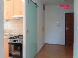 Prodej bytu 2+1, Ústí nad Labem - Severní Terasa, Jana Zajíce, 50 m2