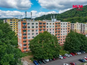 Prodej bytu 1+1, Ústí nad Labem, Peškova, 38 m2