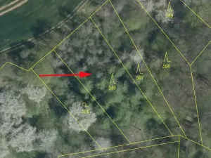 Prodej lesa, Mšeno, 1050 m2