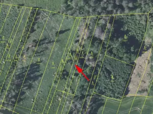Prodej louky, Trhový Štěpánov, 372 m2