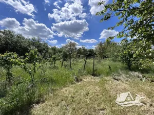 Prodej rodinného domu, Dabovik, Bulharsko, 78 m2