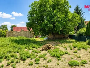 Prodej zemědělské usedlosti, Úštěk - Robeč, 1230 m2