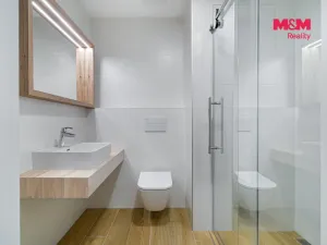 Prodej bytu 1+kk, Olomouc, Wolkerova, 33 m2