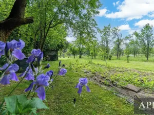 Prodej rodinného domu, Tlumačov, Dolní, 143 m2