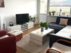 Pronájem bytu 2+1, Děčín, Pohraniční, 67 m2