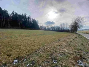 Dražba louky, Černá v Pošumaví, 3624 m2