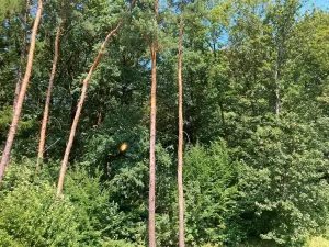 Prodej bytu 3+kk, Ostrava, Binarova, 89 m2