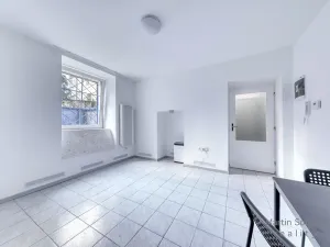 Pronájem bytu 1+kk, Praha - Holešovice, Šimáčkova, 21 m2