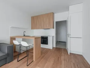 Pronájem bytu 1+kk, Praha - Karlín, Pernerova, 30 m2