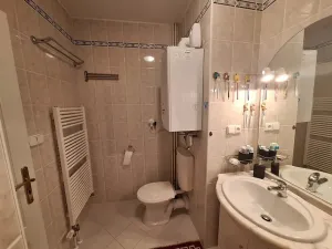 Prodej bytu 3+kk, Železná Ruda, 66 m2