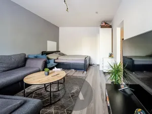 Prodej bytu 1+1, Brno, Horácké náměstí, 45 m2