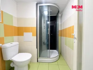 Prodej bytu 1+1, Chomutov, Borová, 35 m2