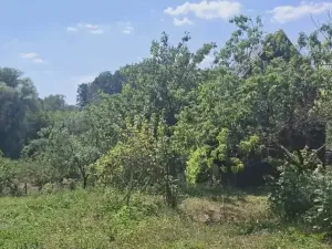 Prodej rodinného domu, Ivaň, 350 m2