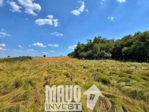 Prodej louky, Petrovice, 118619 m2