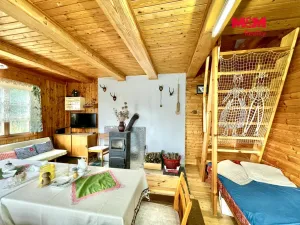 Prodej chaty, Paskov, Neužilní, 55 m2