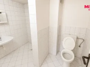 Pronájem rodinného domu, Lipník nad Bečvou - Lipník nad Bečvou VI-Loučka, 220 m2