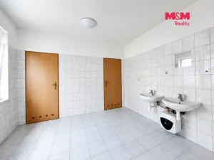 Pronájem obchodního prostoru, Klášterec nad Ohří - Miřetice u Klášterce nad Ohří, Nádražní, 100 m2