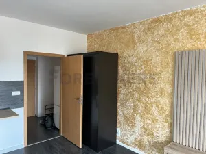 Pronájem bytu 1+kk, Pardubice, Pichlova, 32 m2