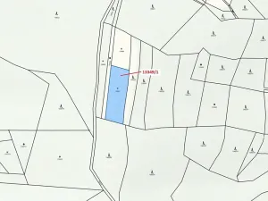 Dražba louky, Hovězí, 1868 m2