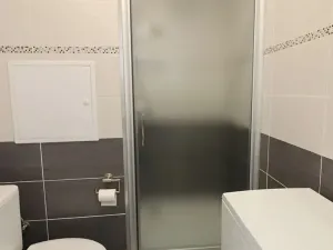 Prodej bytu 1+kk, Sokolov, Mánesova, 22 m2