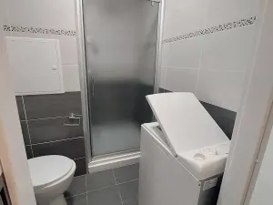 Prodej bytu 1+kk, Sokolov, Mánesova, 22 m2