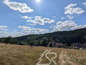 Prodej pozemku, Petrovice u Sušice - Pařezí, 4773 m2