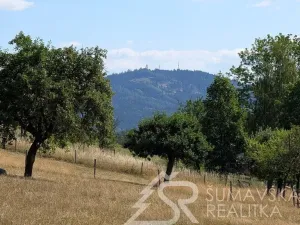 Prodej pozemku, Petrovice u Sušice - Pařezí, 4773 m2