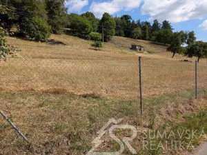 Prodej pozemku, Petrovice u Sušice - Pařezí, 4773 m2