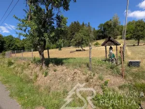 Prodej pozemku, Petrovice u Sušice - Pařezí, 4773 m2