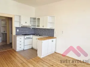 Pronájem bytu 1+1, Praha - Bubeneč, Čechova, 39 m2