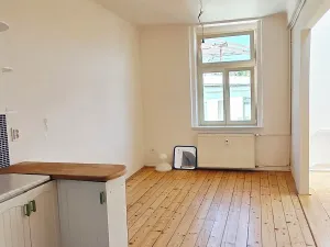 Pronájem bytu 1+1, Praha - Bubeneč, Čechova, 39 m2