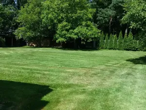 Prodej chalupy, Suchdol, 210 m2