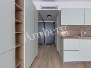 Pronájem bytu 1+kk, Praha - Karlín, Sokolovská, 28 m2