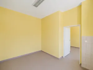 Prodej vícegeneračního domu, Kamenice, 1737 m2