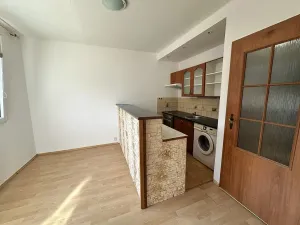 Prodej bytu 1+1, Děčín, Kosmonautů, 35 m2