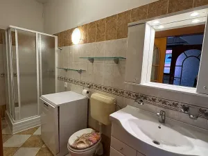 Prodej rodinného domu, Brno, Sladkovského, 180 m2