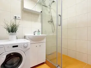 Pronájem bytu 2+kk, Brno, Obilní trh, 47 m2