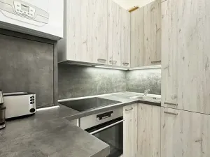 Pronájem bytu 2+kk, Brno, Obilní trh, 47 m2