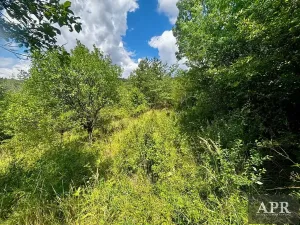 Prodej pozemku pro bydlení, Žítková, 6433 m2